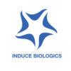 NMP™ Particulate Chips - Image 2